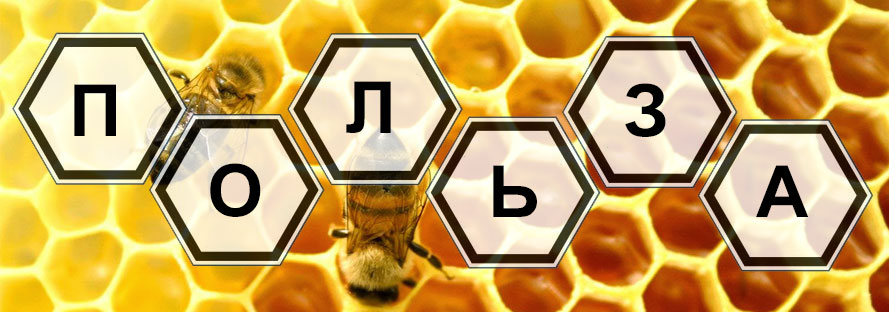 Пчелиный яд - полезные свойства для организма человека