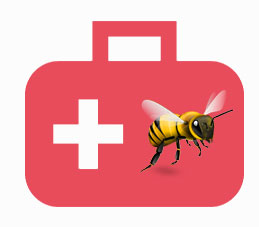 почему пчелиный яд является лекарством
